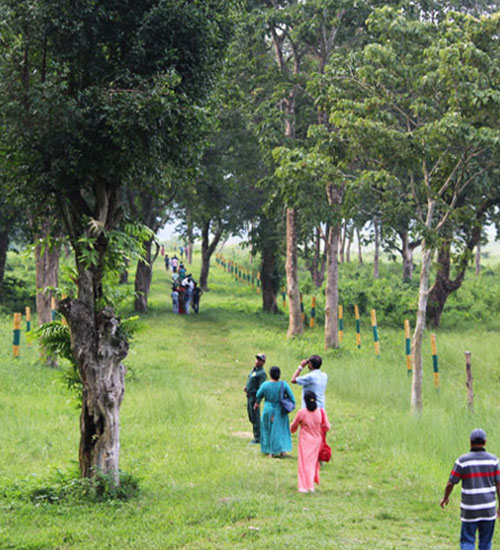 Butterfly Park