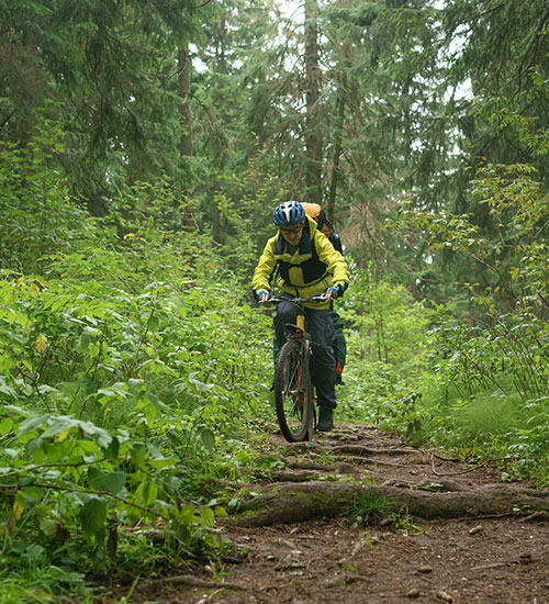 Jungle Cycle Trail